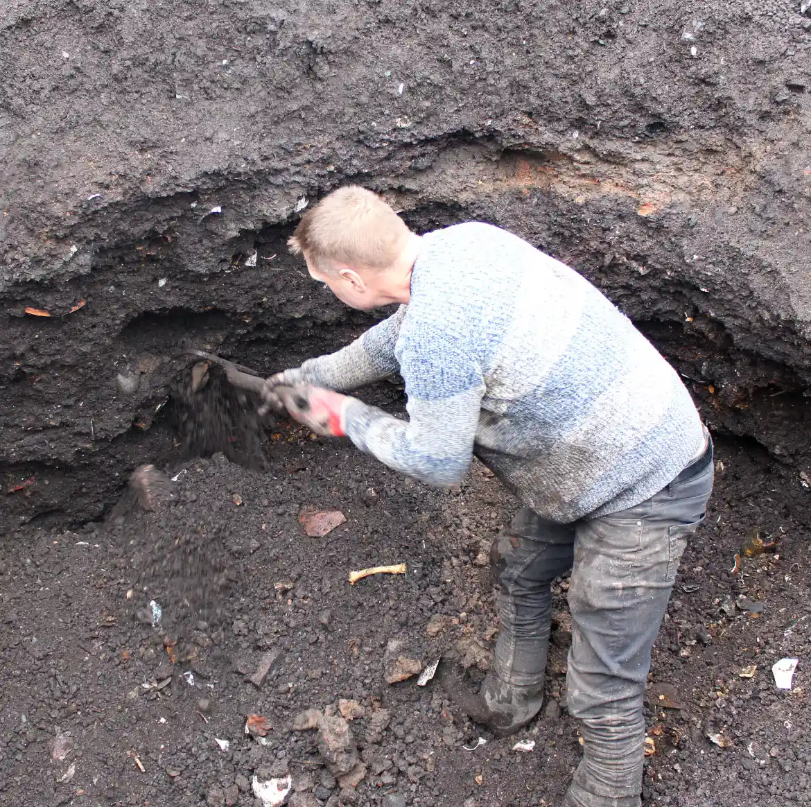 Vintage Collection Display